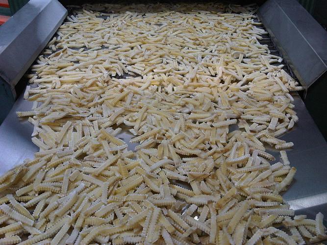 薯条加工成套设备与速冻机 打造高效便捷的产业利器
