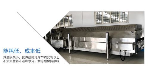 果蔬肉类单冻机 小型冷库的速冻利器与配套方案解析