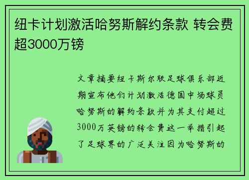 纽卡计划激活哈努斯解约条款 转会费超3000万镑